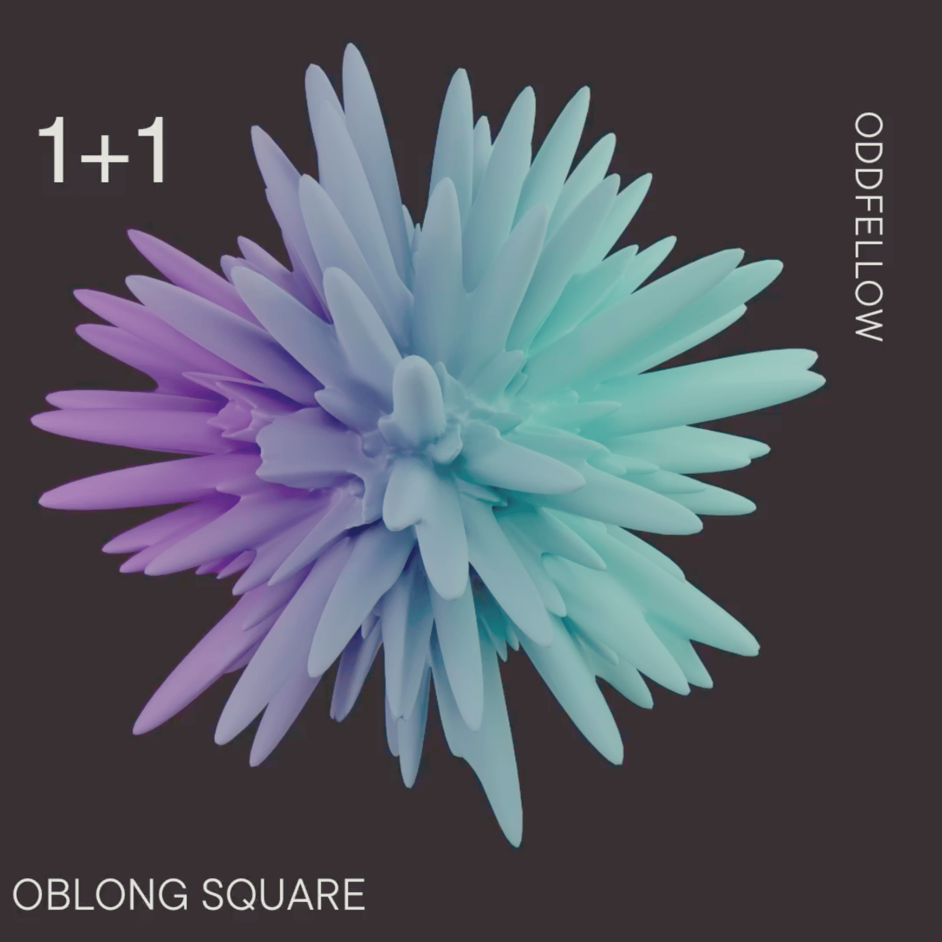 1 + 1