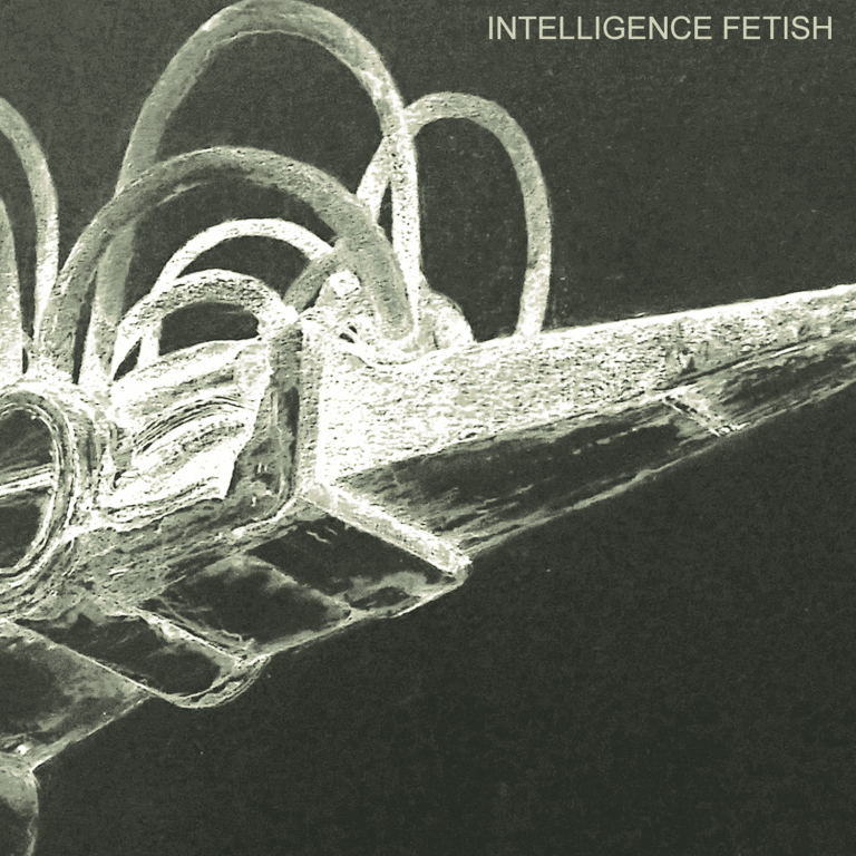 Degrees of Intelligence