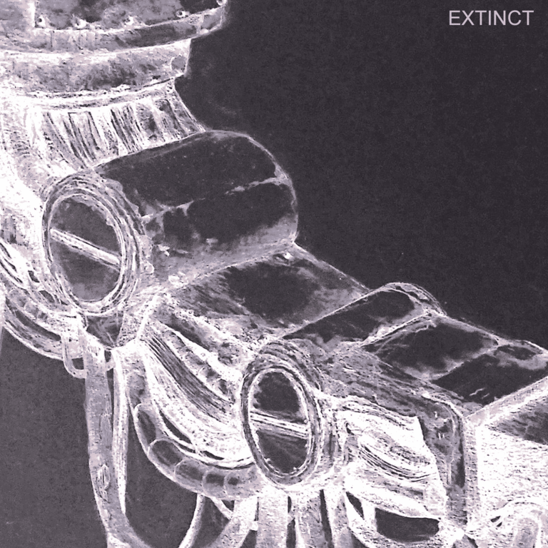 Extinct