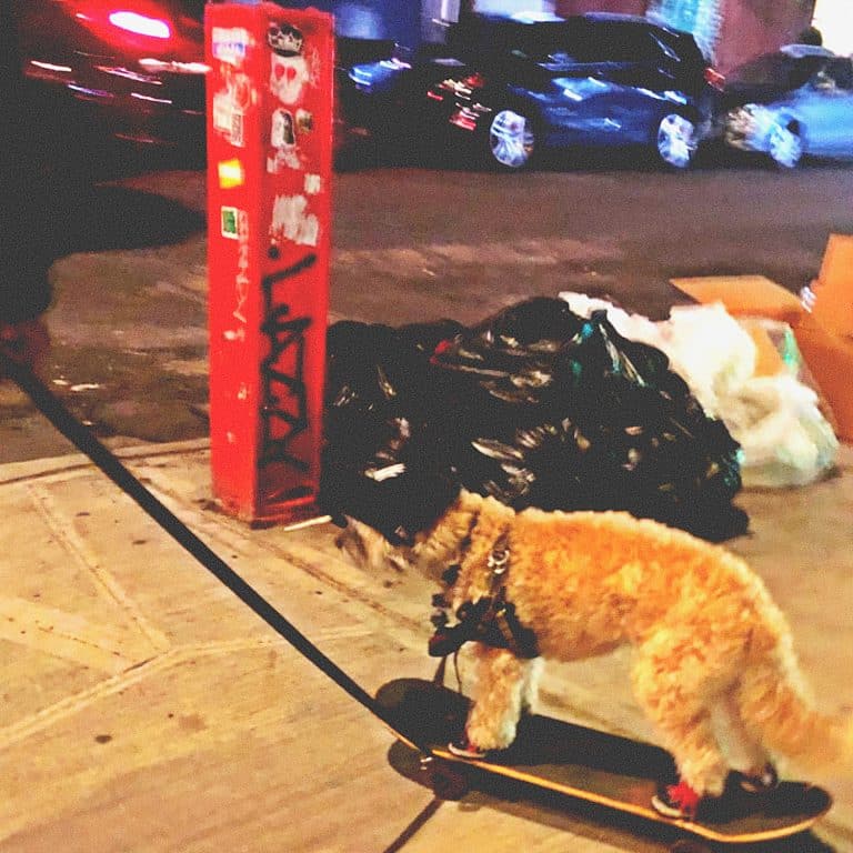 Anderson - Various Shades