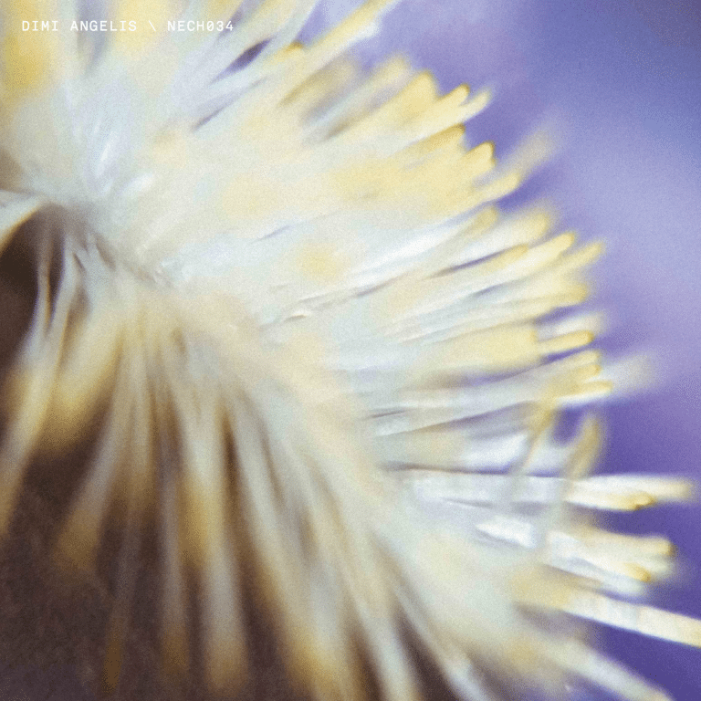 Dimi Angelis - NECH034