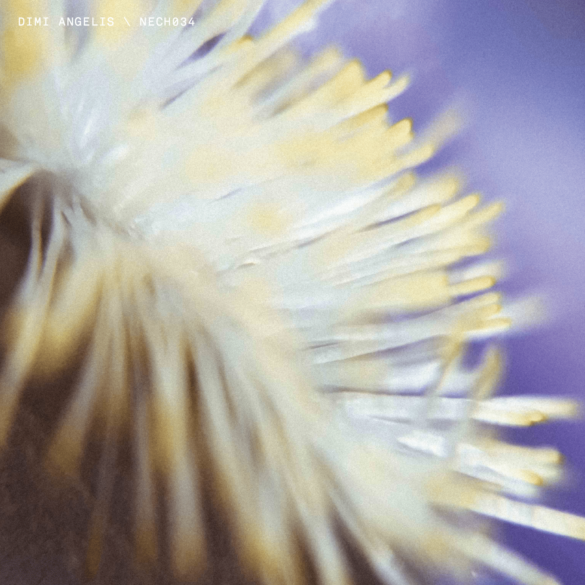 NECH034- Limited Edition- Exclusive colour 12" - Dimi Angelis