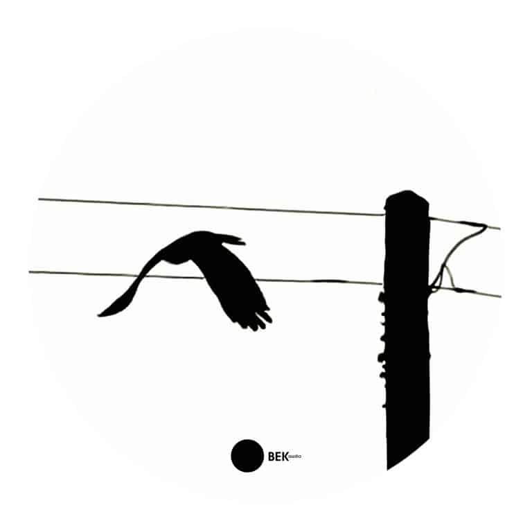 Gary Beck - Surface Plant - BEK063